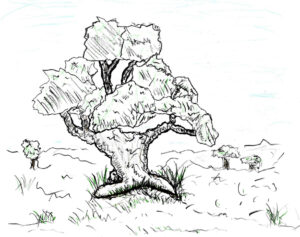 Nature Scene - drawing by Harvey Dog April 24th, 2023