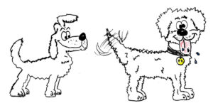 Dogs - drawing by Harvey Dog 2023.