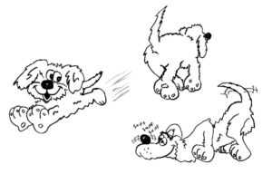 Dogs Playing - drawings by Harvey Dog 2023